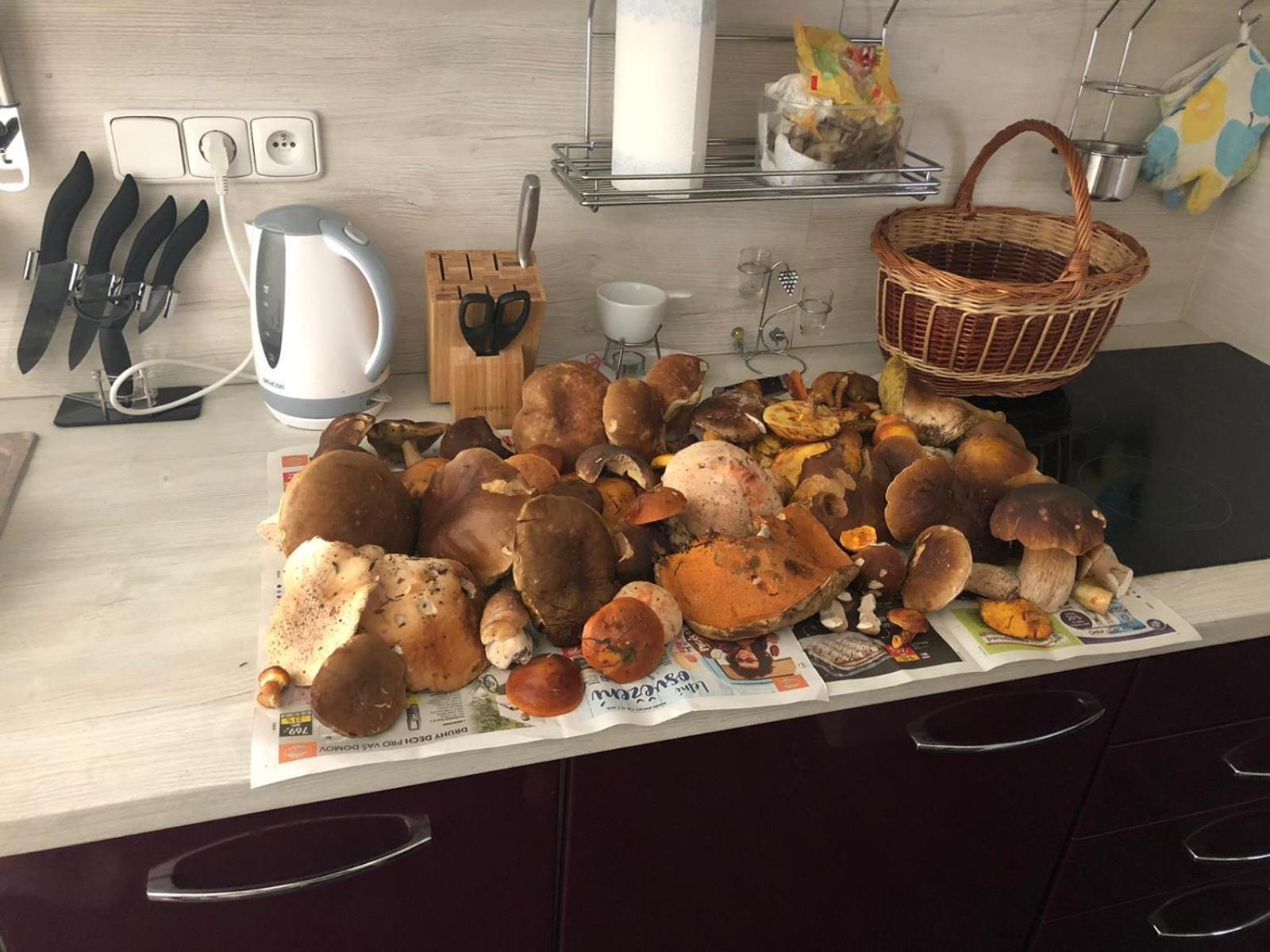 Apartman Boruvka Česká Kamenice Eksteriør billede